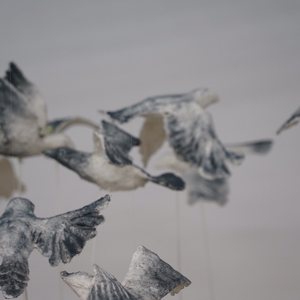 生命不可承受之轻