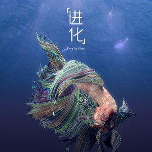 进化