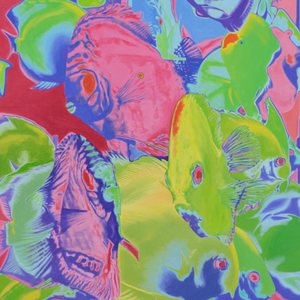 《如果另有……》