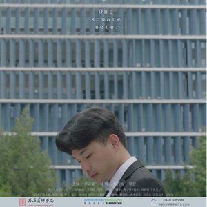 《地表一平米》