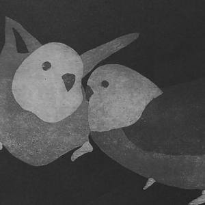 镜子中鹦鹉的自我意识