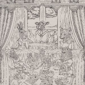 《兔子新娘》《猫鼠一家》《睡美人》