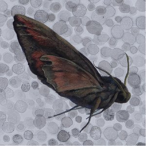 《悬悬》《恶意》