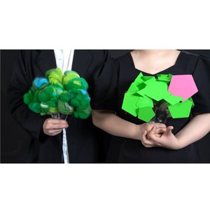 《西兰花的故事》