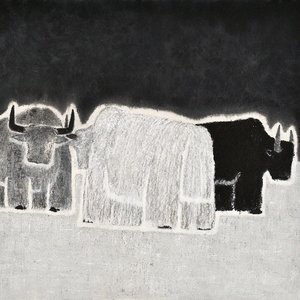 《小白小黑和小灰》