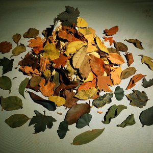 《轮回·四季》《山居一隅》