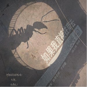 如果我直接往南去