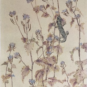 《落花无言》系列