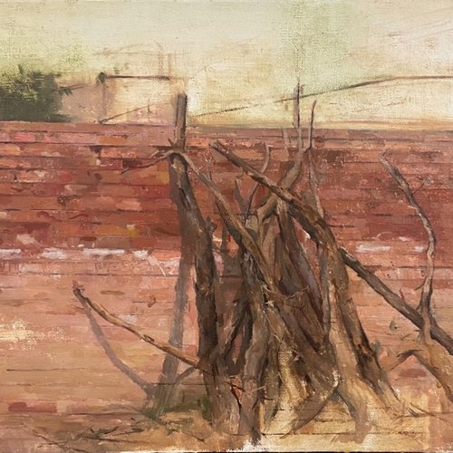 砖墙上的枯木堆